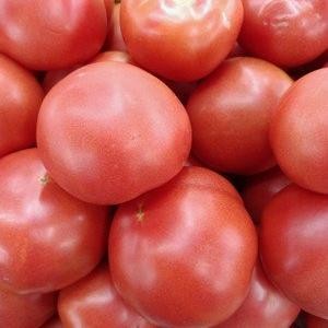 tomato seeds2